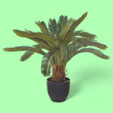 Verde artificiale Cycas con vaso • 72 cm