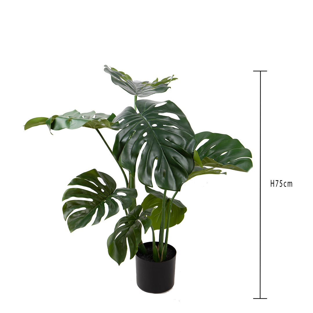 Monstera artificiale • 75 cm