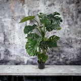 Verde artificiale Monstera • 120 cm
