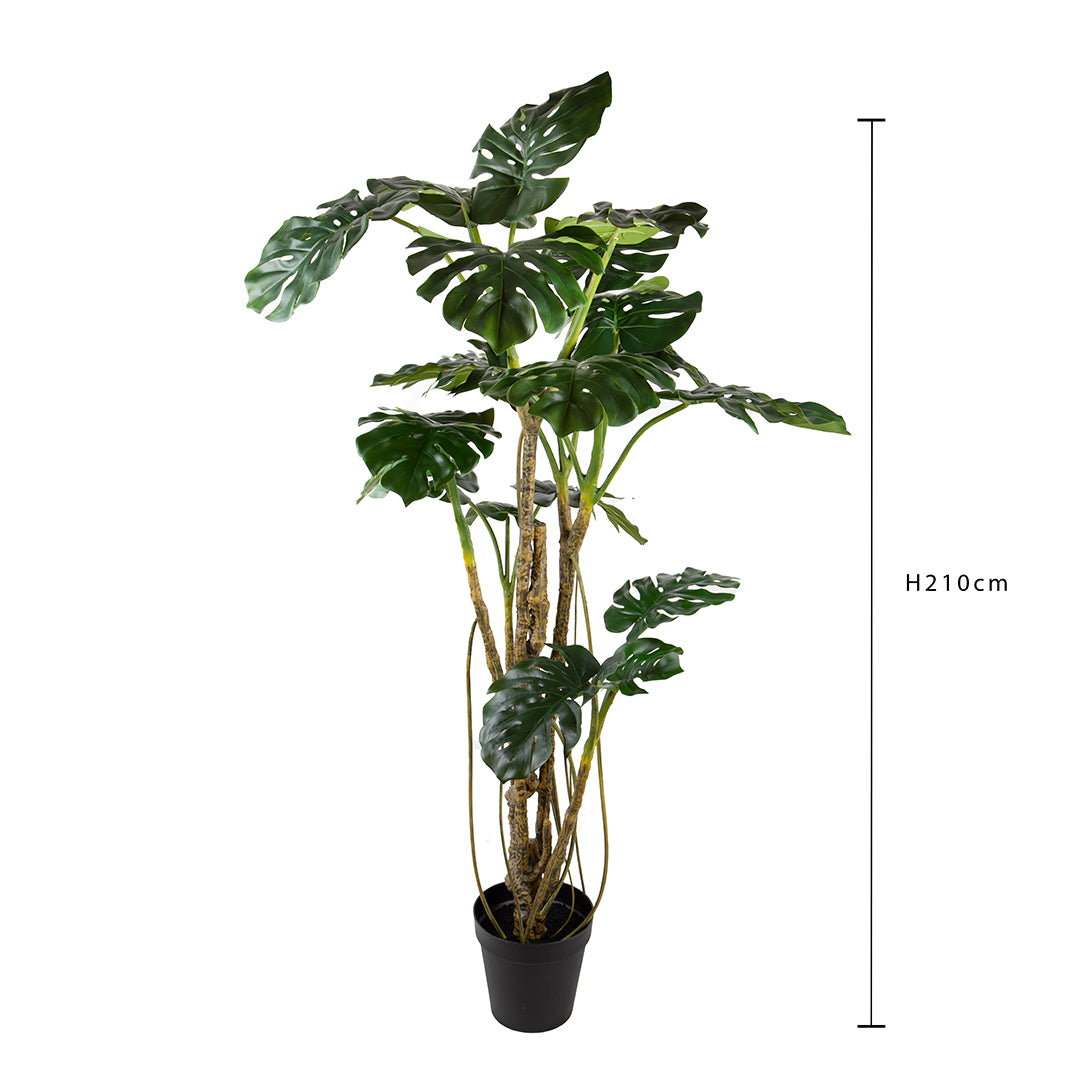 Monstera artificiale • 210 cm
