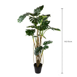 Monstera artificiale • 210 cm