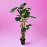 Monstera artificiale • 210 cm