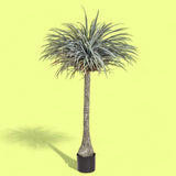 Pianta di Yucca artificiale con vaso • 180 cm