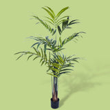 Verde artificiale Kenzia artificiale con vaso nero  • 210 cm