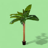 Verde artificiale Pianta banana con vaso • 240 cm