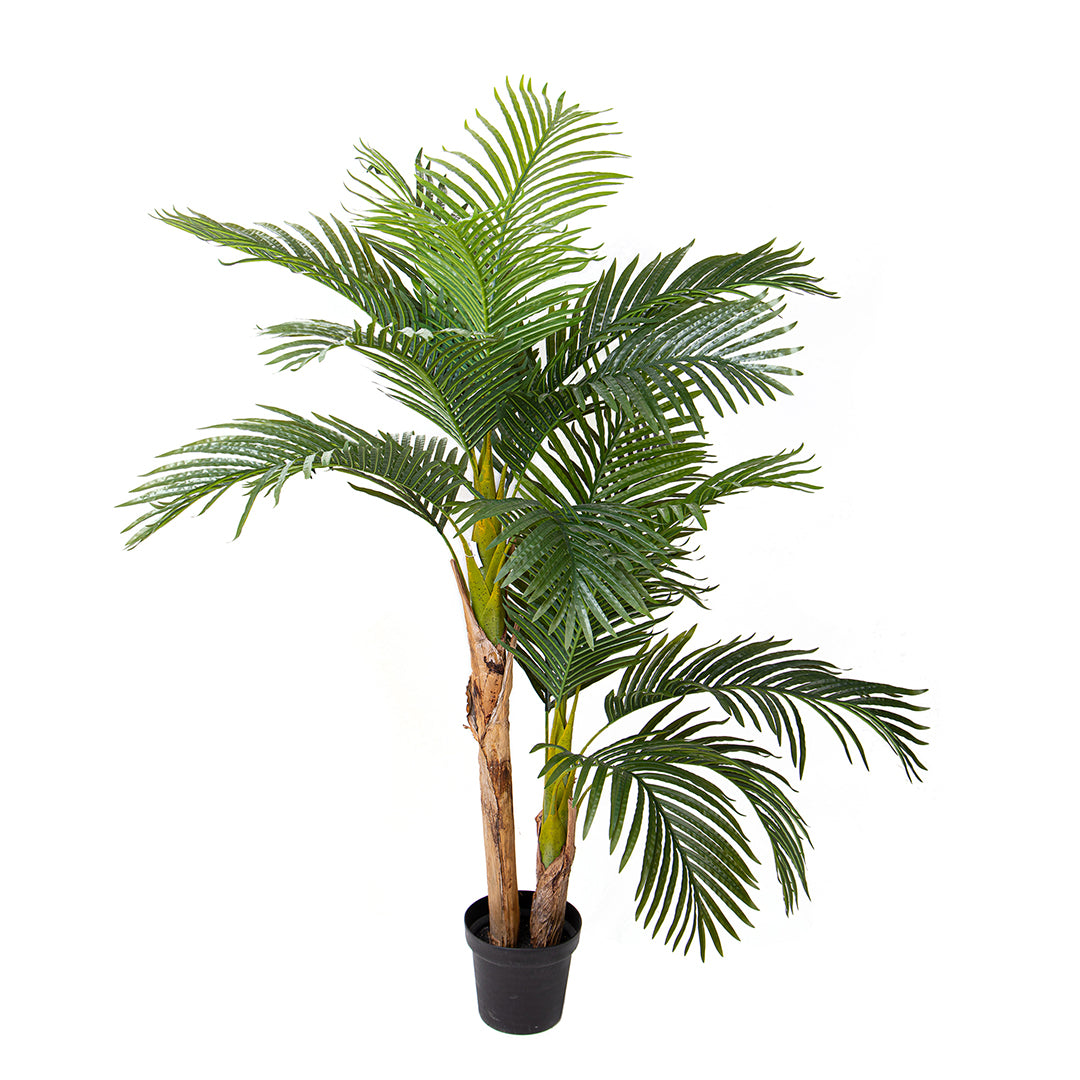 Verde artificiale Areca con vaso • 165 cm