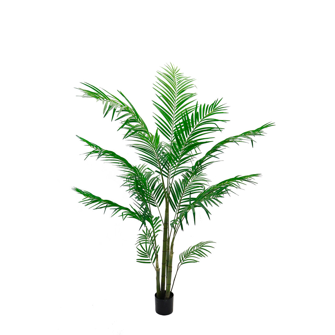 Verde artificiale Areca palm con vaso • 185 cm