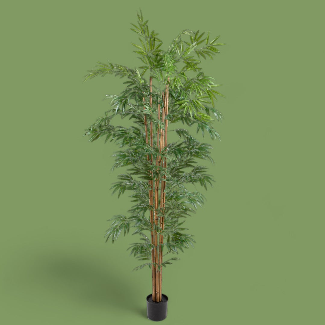 Verde artificiale Bamboo italiano con vaso • 240 cm