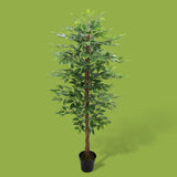 Verde artificiale Ficus tree con vaso • 170 cm