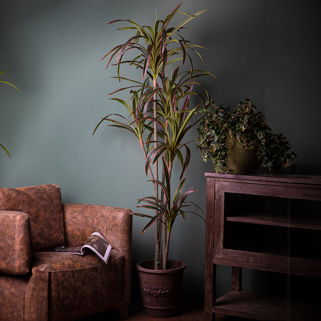 Verde artificiale Dracena marginata con vaso • 190 cm