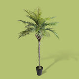 Verde artificiale Palma per 19 con vaso • 200 cm