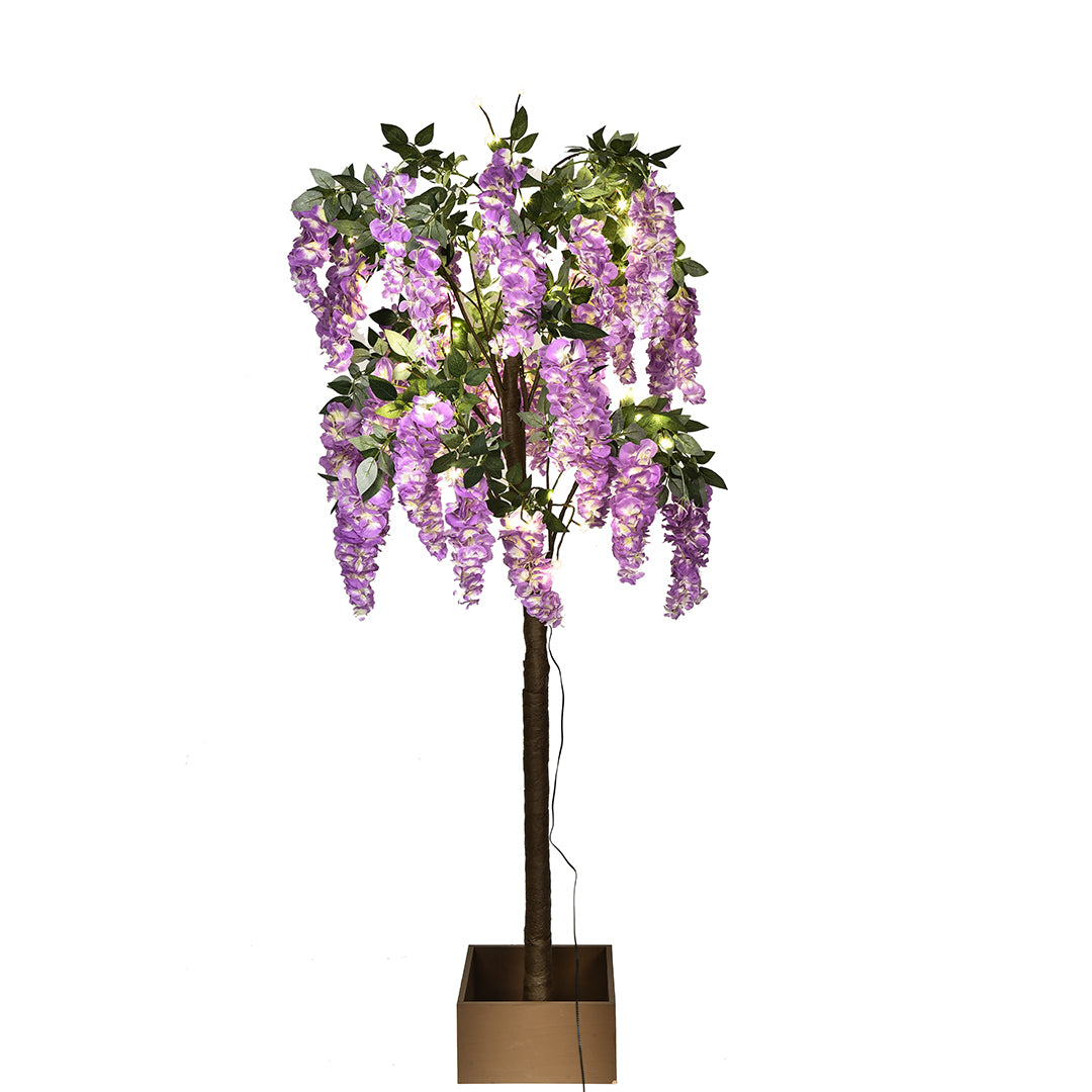 Glicine con Led Uso Interno con Vaso • 170 cm
