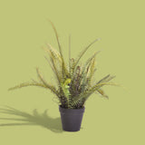 Verde artificiale Felce boston con vaso • 61 cm
