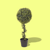 Verde artificiale Bossolo sfera • 90 cm