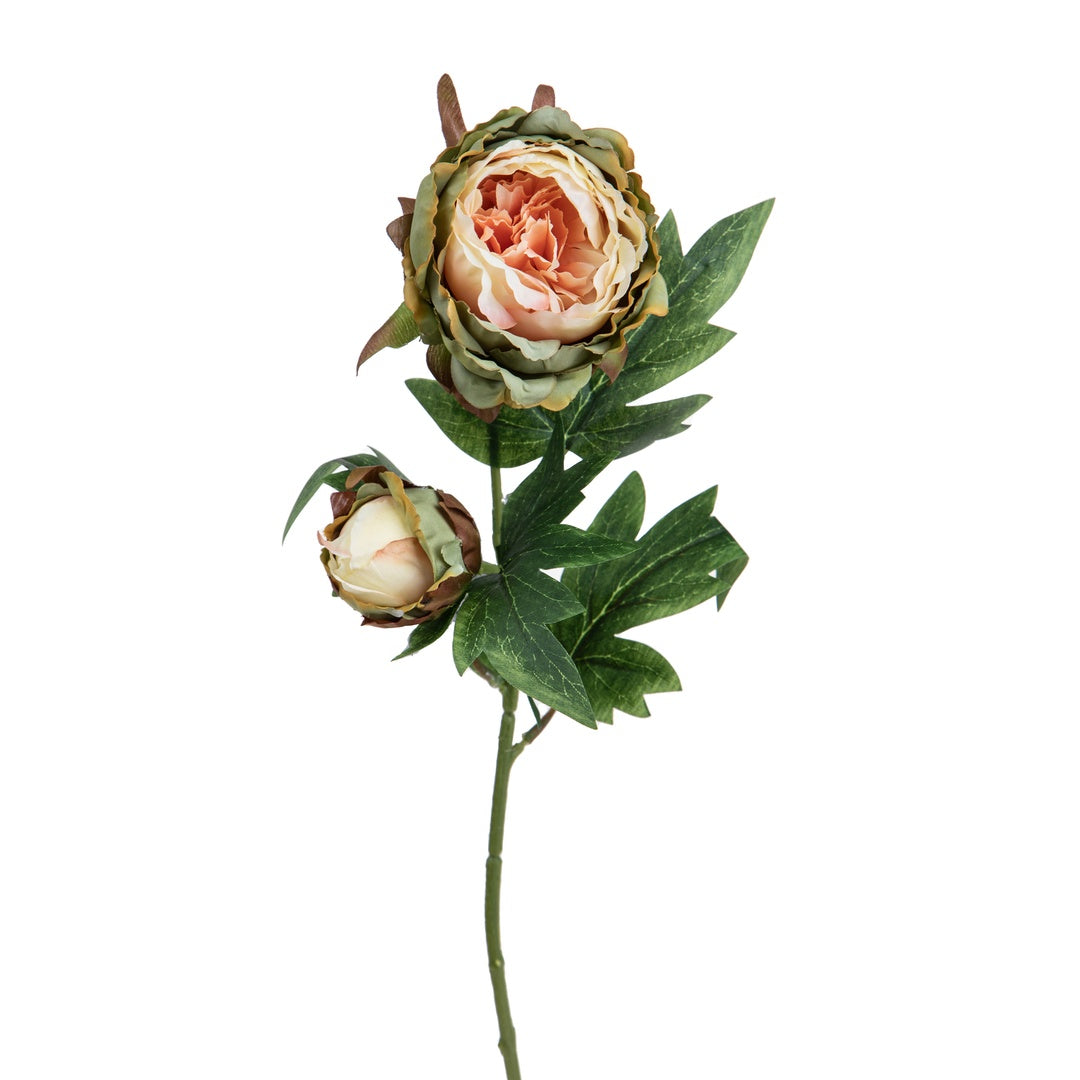 2 Pezzi • Peonia artificiale con 2 fiori • 60 cm