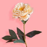6 Pezzi • Peonia aperta artificiale • 76 cm