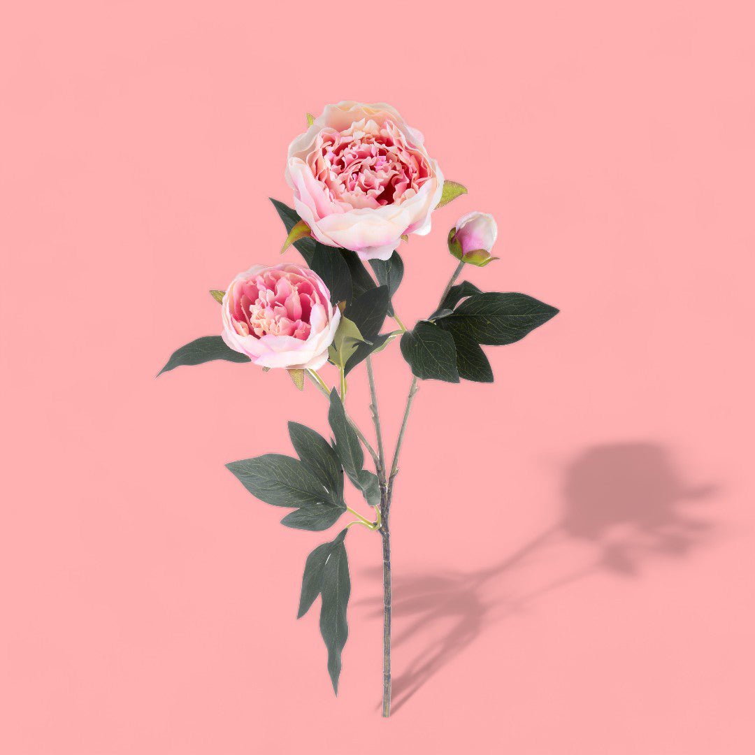 2 Pezzi • Fiore di Peonia artificiale con 3 fiori • 74 cm
