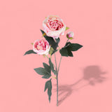 2 Pezzi • Fiore di Peonia artificiale con 3 fiori • 74 cm