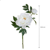 Peonia Grande • 65 cm