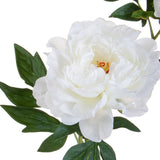 Peonia Grande • 65 cm