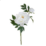 Peonia Grande • 65 cm