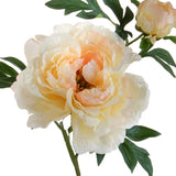 Peonia Grande • 65 cm