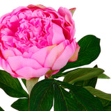 3 Pezzi • Fiore Peonia artificiale • 80 cm