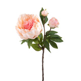 2 Pezzi • Fiore di Peonia artificiale romance con 3 fiori • 48,5 cm