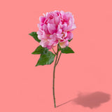 3 Pezzi • Fiore di Peonia artificiale • 57 cm