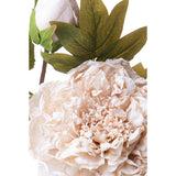 3 Pezzi • Fiore di Peonia artificiale dry • 50 cm