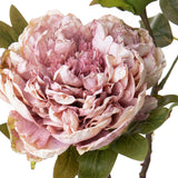 3 Pezzi • Fiore di Peonia artificiale dry • 50 cm