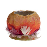 6 Pezzi • Uovo contenitore piccolo senza coperchio • 12 cm
