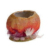 6 Pezzi • Uovo contenitore piccolo senza coperchio • 12 cm