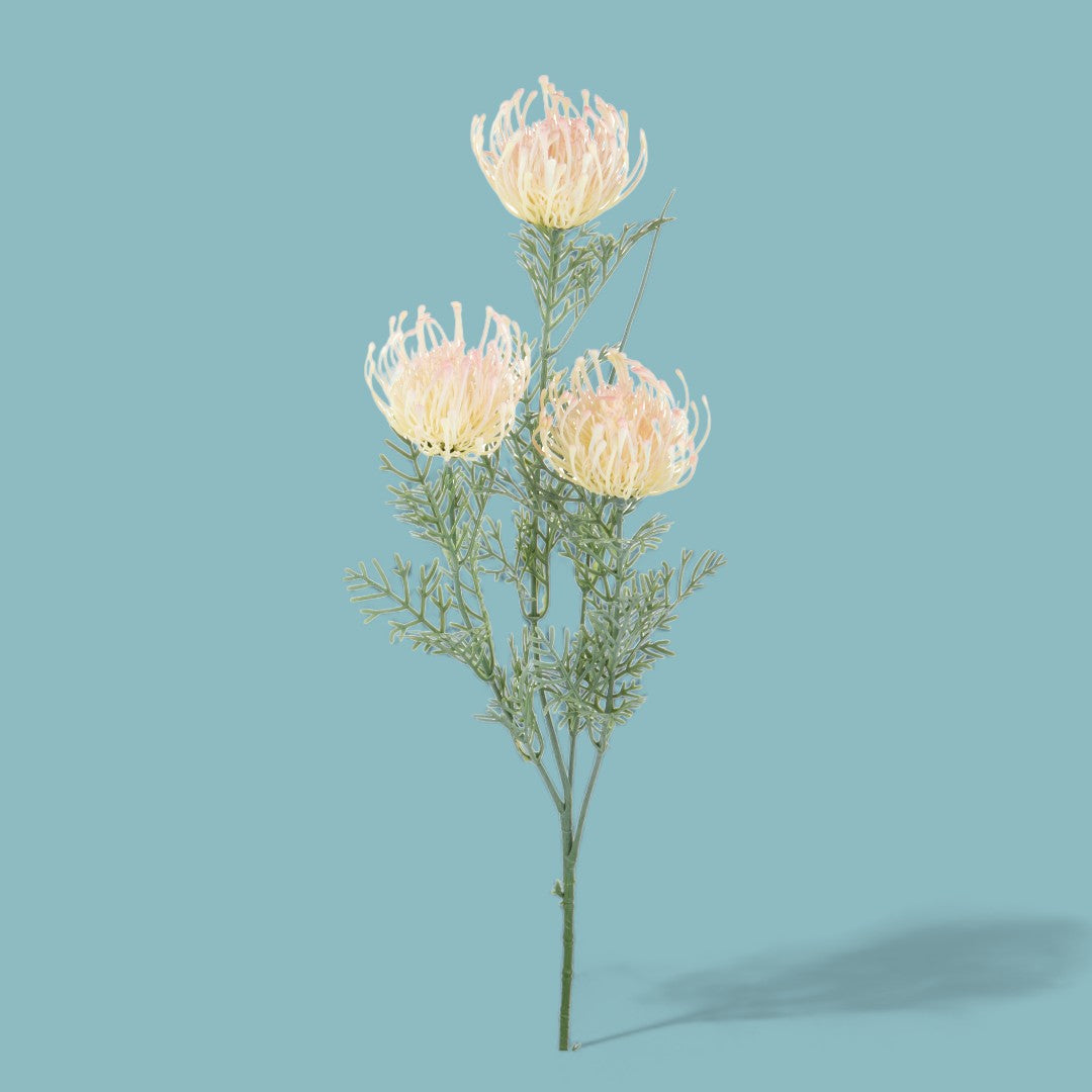 6 Pezzi • Protea artificiale australiana per 3 fiori • 56 cm