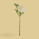 12 Pezzi • Ranuncolo per 2 fiori • 46 cm