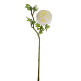 Ranuncolo per 2 fiori • 46 cm