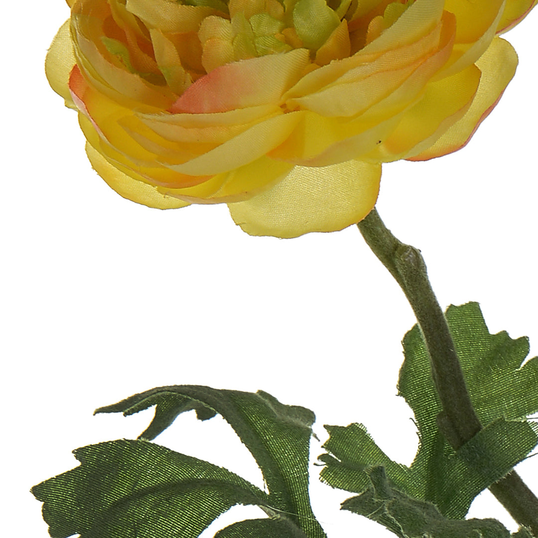 Ranuncolo per 2 fiori • 46 cm