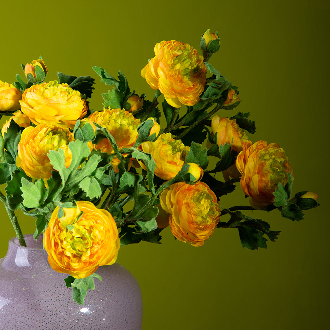 Ranuncolo per 2 fiori • 46 cm