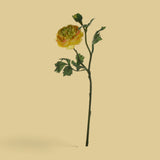 12 Pezzi • Ranuncolo per 2 fiori • 46 cm