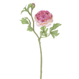Ranuncolo per 2 fiori • 46 cm