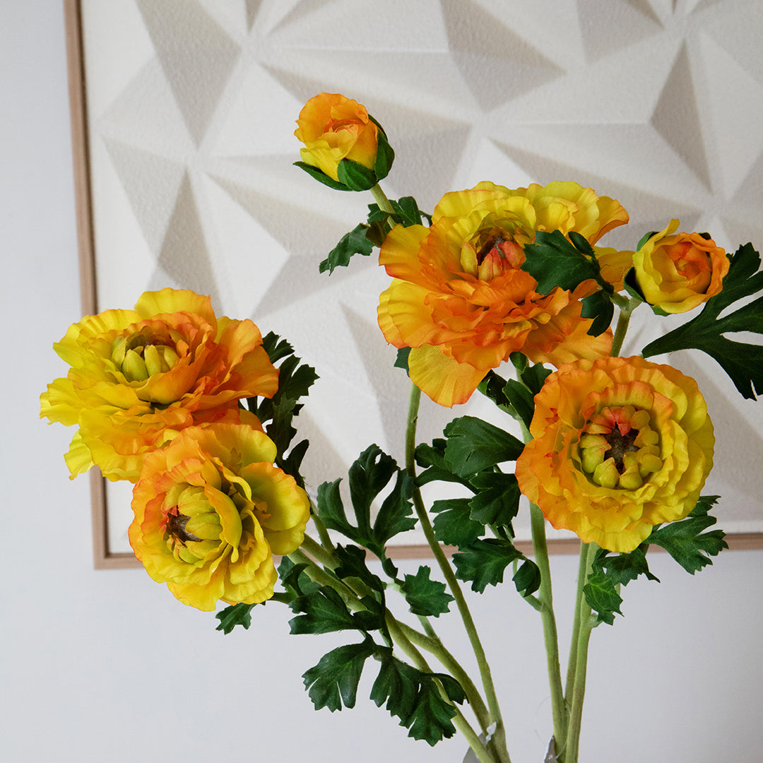 Ranuncolo per 3 fiori • 45 cm