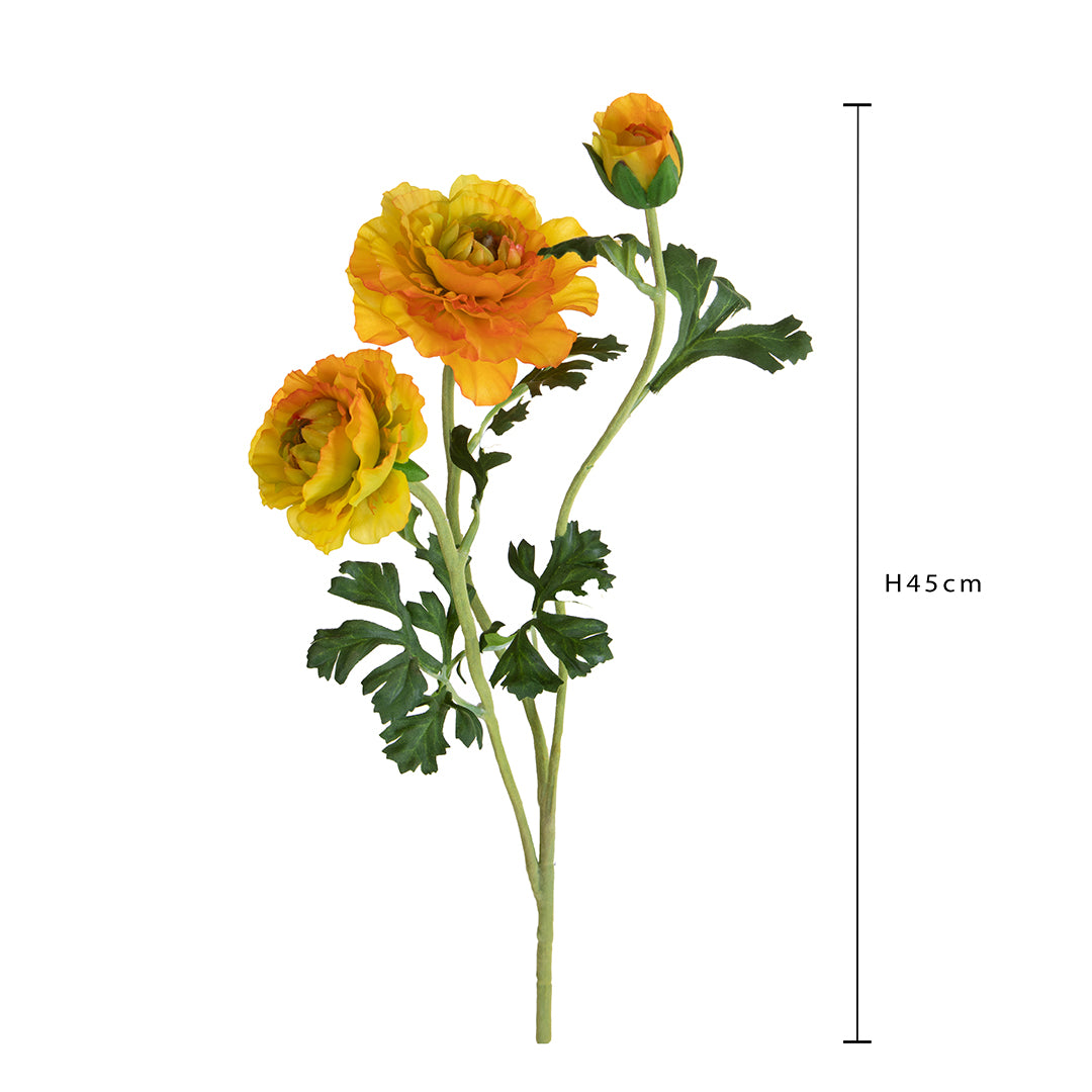 Ranuncolo per 3 fiori • 45 cm