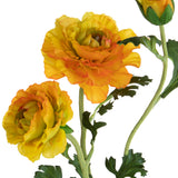 Ranuncolo per 3 fiori • 45 cm