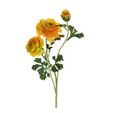 Ranuncolo per 3 fiori • 45 cm