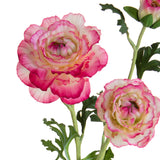 Ranuncolo per 3 fiori • 45 cm