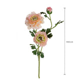 Ranuncolo per 3 fiori • 45 cm