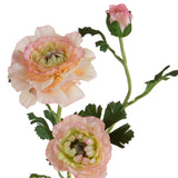 Ranuncolo per 3 fiori • 45 cm