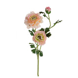 Ranuncolo per 3 fiori • 45 cm
