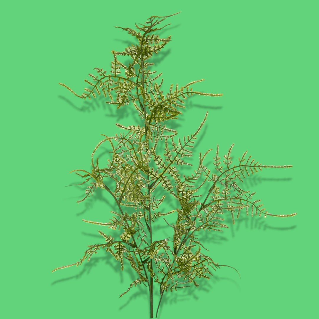 6 Pezzi • Asparagus artificiale •  70 cm