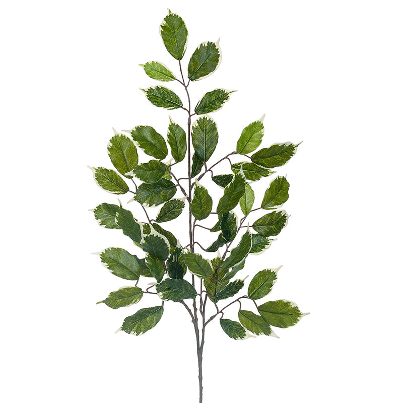 4 Pezzi • Ramo di ficus con 42 foglie artificiale •  60 cm